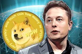 Илон Маск развеял слухи о своей связи с Фондом Dogecoin