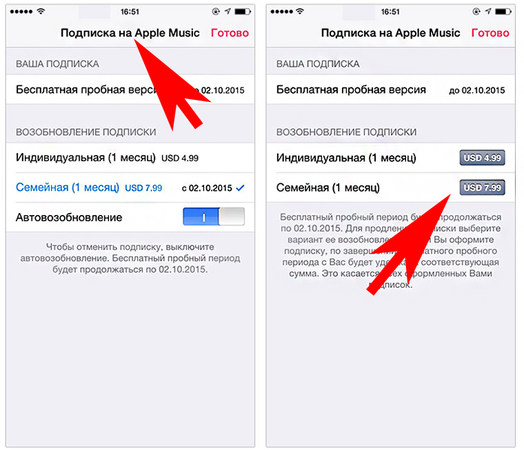 Установить бесплатную подписку. Отмен ь подписку иаи приложение. Как убрать подписку. Отменить платную подписку. Удалить платные подписки.