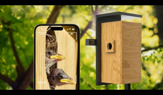 Ящик для птиц Birdfy Nest с беспроводной двойной камерой ночного видения