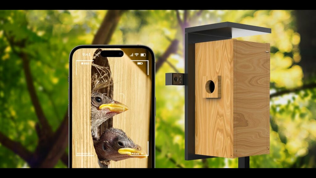 Ящик для птиц Birdfy Nest с беспроводной двойной камерой ночного видения