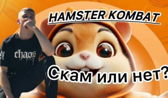 Hamster Kombat скам! Хамстер Комбат не заплатит хомякам ничего!